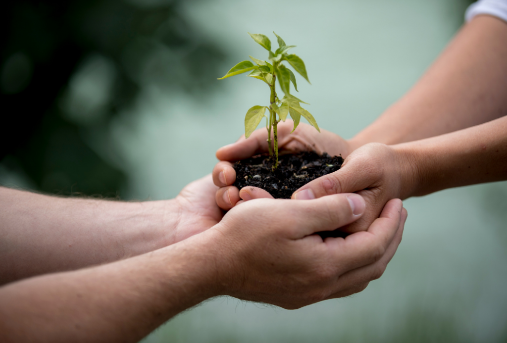 Joindre des mains pour planter une plante - La Vracrie - Epicerie en vrac - Coopérative participative au Vully (FR)