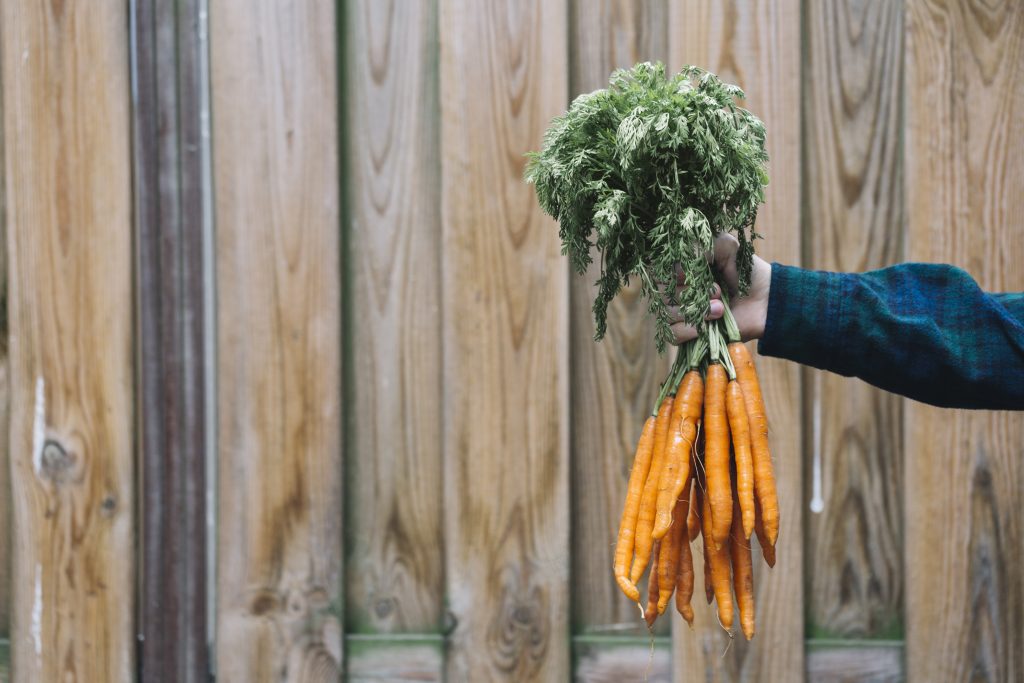 Une main tient une botte de carottes - La Vracrie - Epicerie en vrac - Coopérative participative au Vully (FR)